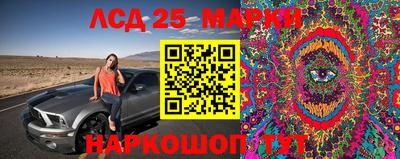 мдпв Новокубанск