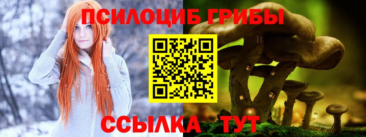 Псилоцибиновые грибы ЛСД Томск